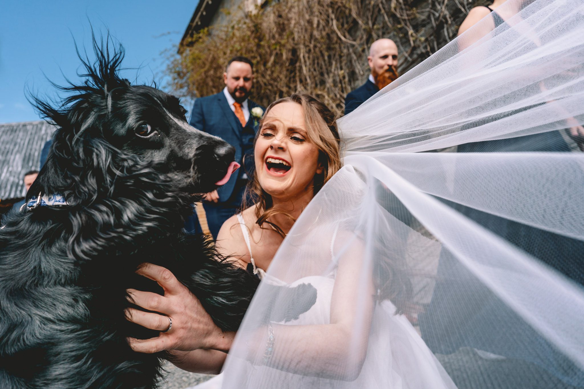 Bride and her dog at wedding
